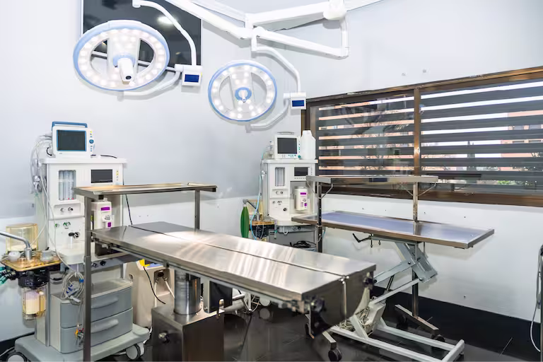 Sterilized exam room ready for the next feline customer in Burnsville, Minnesota.